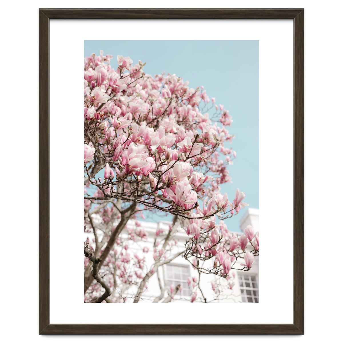 Spring Time