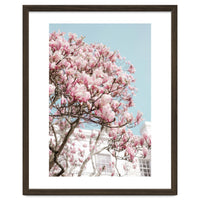 Spring Time