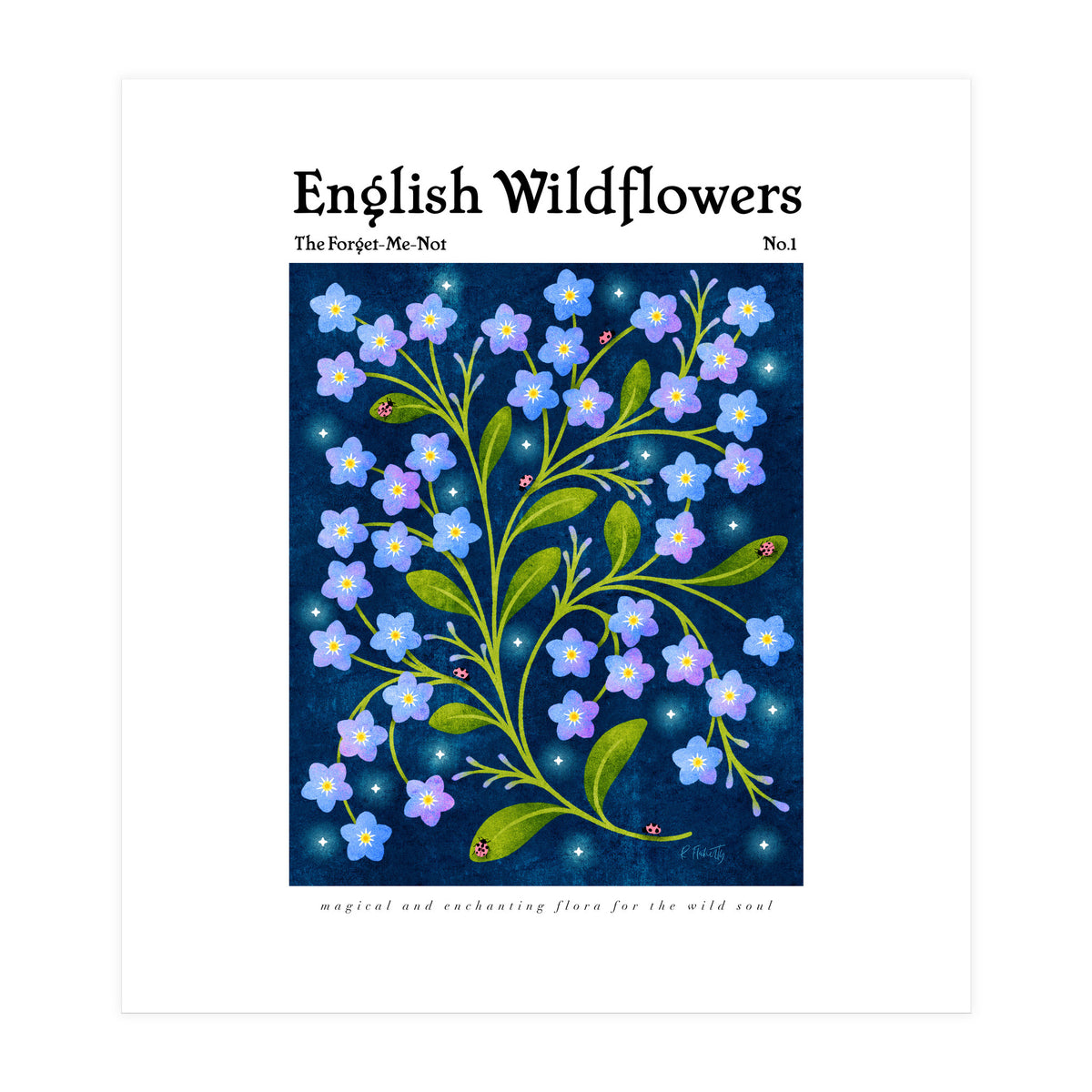 English Wildflowers | Forget-Me-Not (Print Only)