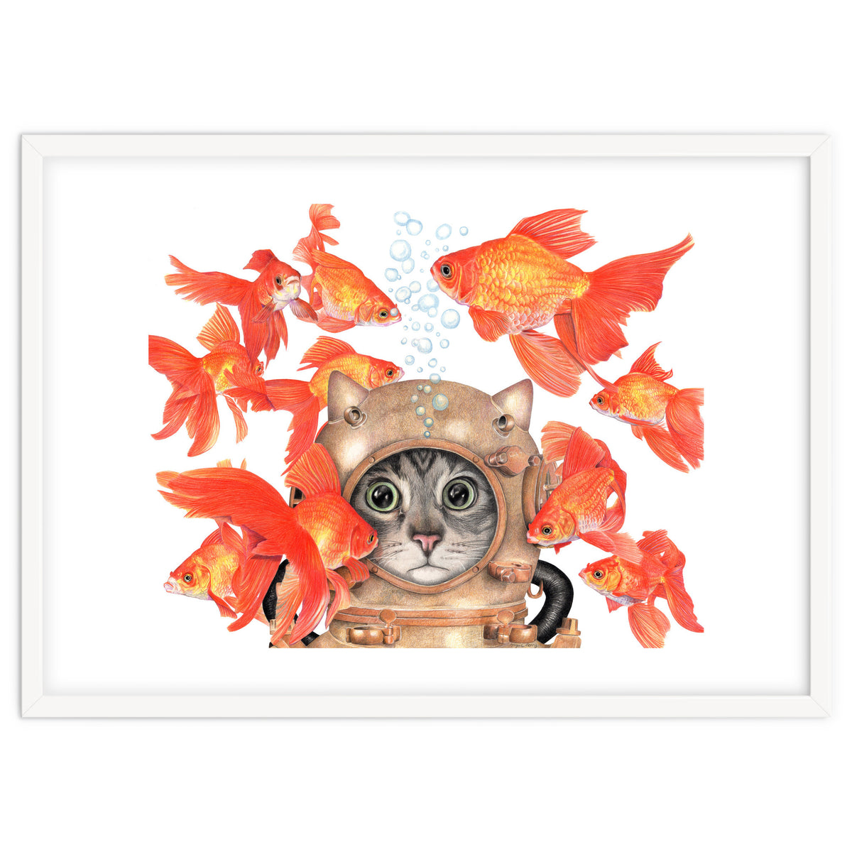 Scuba Catlgbright