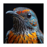 Close Up Of A Colorful Exotic Bird Head (Print Only) thumbnail