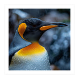 Close Up Of King Penguin In The Rain (Print Only) thumbnail