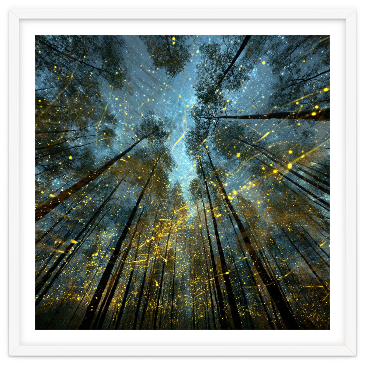 Enchanted Night Forest with Glowing Fireflies