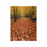 Ethereal Autumn Forest Path (Print Only) thumbnail