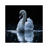 Majestic Swan Swimming In Dark Water (Print Only) thumbnail