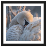 Close Up Of A Swan Covered In Frost And Dew thumbnail
