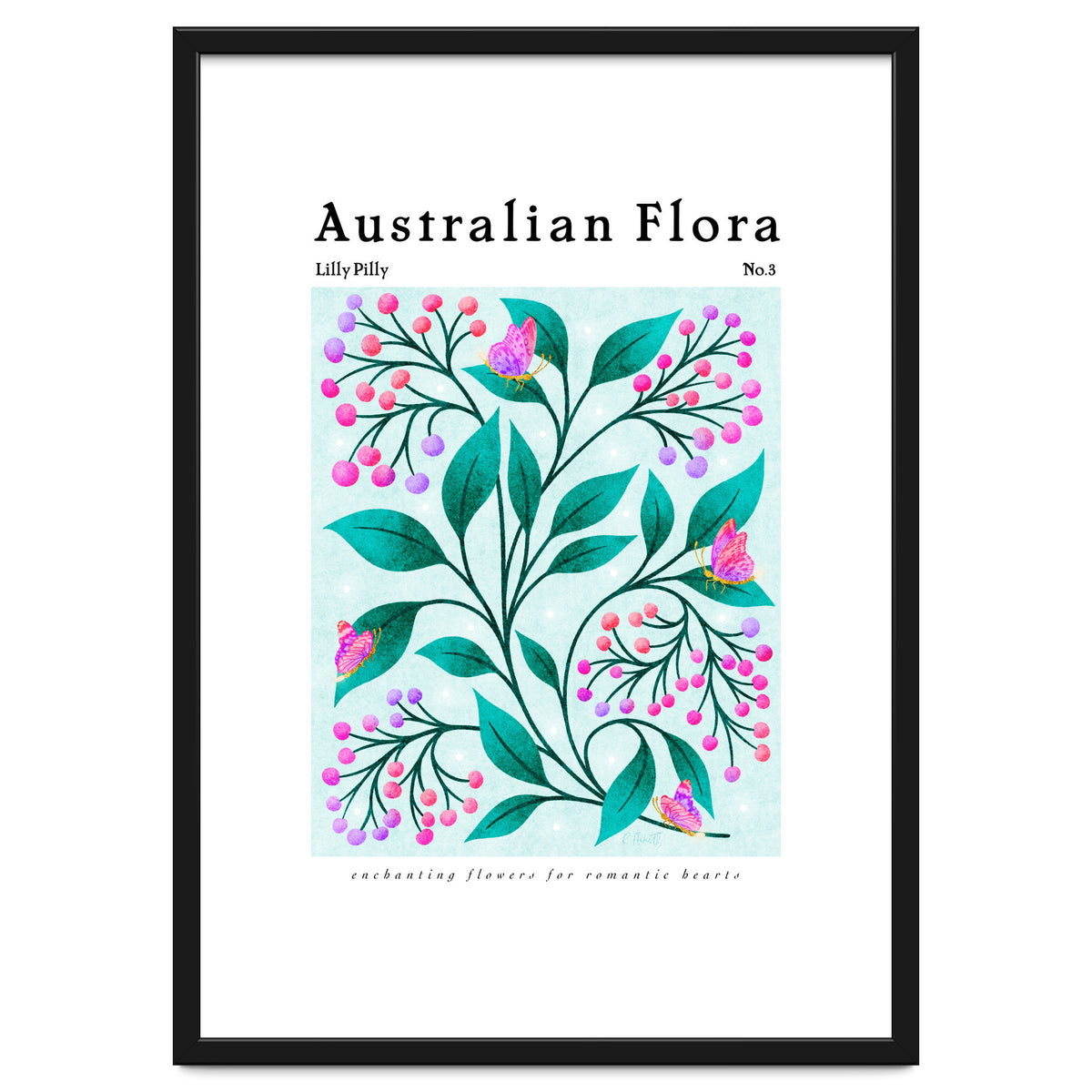 Australian Flora: Lilly Pilly