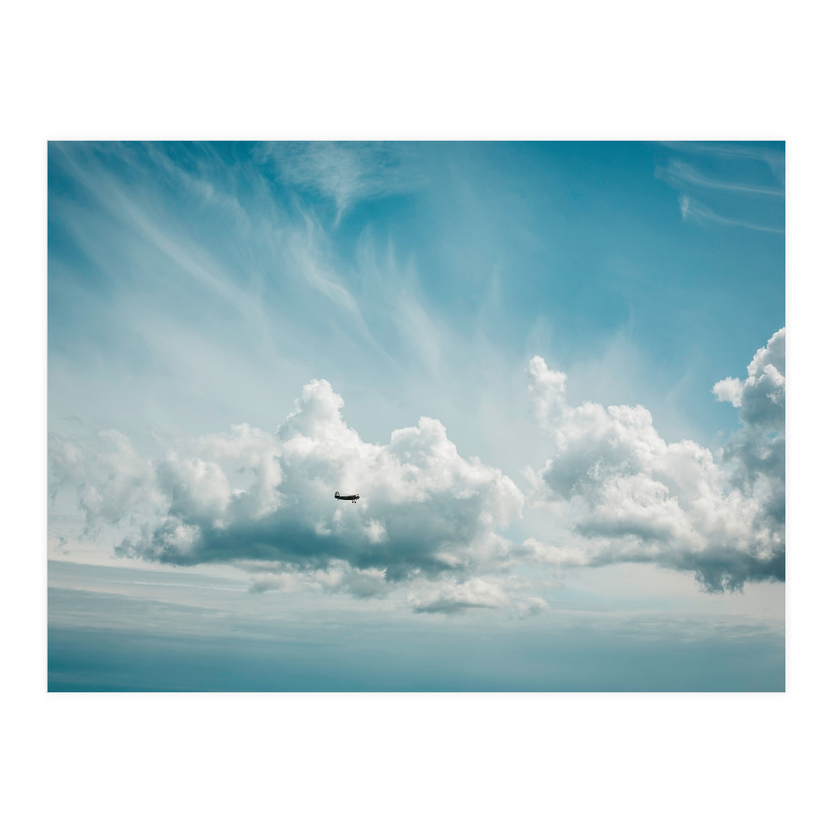 Airborne (Print Only)