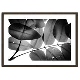 Branches and Leaves, 2016, 3 thumbnail