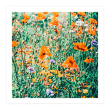 Eva | Nature Floral Meadow Garden | Photography Botanical Spring Bohemian Flowers (Print Only) thumbnail