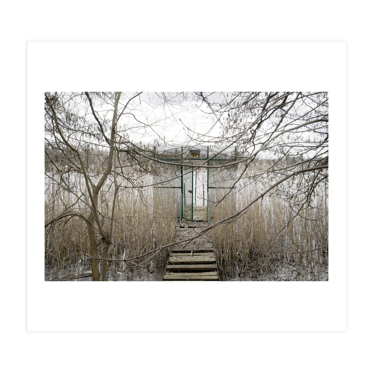 The gate to the lake (Print Only)