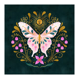 Butterfly And Sun (Print Only) thumbnail