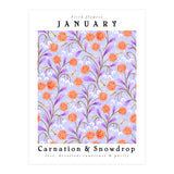 Carnation & Snowdrop January Birth Flower (Print Only) thumbnail