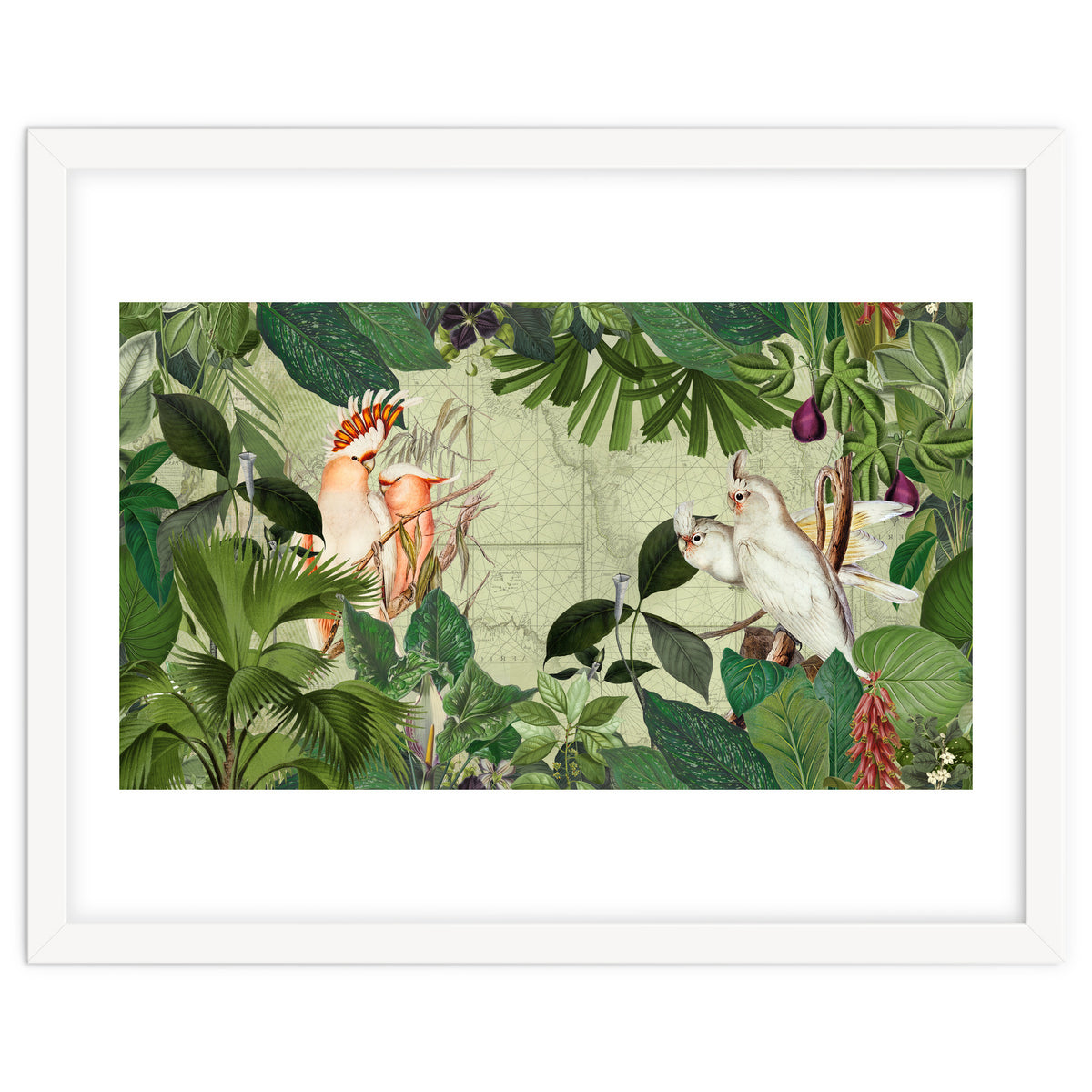 Cockatoo Island Green