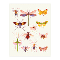 Beautiful Creatures (Print Only)