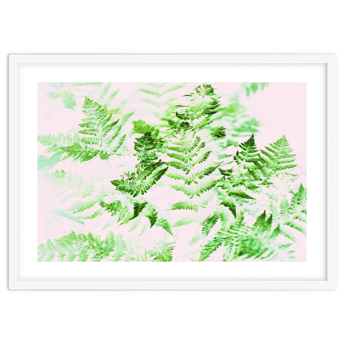 Fern Forest #society6 #decor #buyart