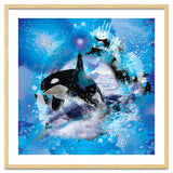 Orca thumbnail