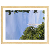 Tower in Harmony thumbnail