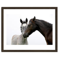 Two Horses