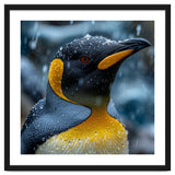 King Penguin Close Up In The Rain thumbnail