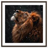 Lion Looking Up In The Snow Majestic thumbnail
