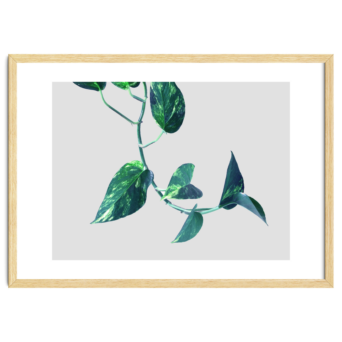 Projection & Emotion