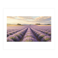 Provençal Sunset: Lavender Field Landscape (Print Only)
