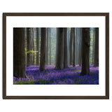 Bluebell forest thumbnail