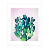 Cactus Three Ways (Print Only) thumbnail