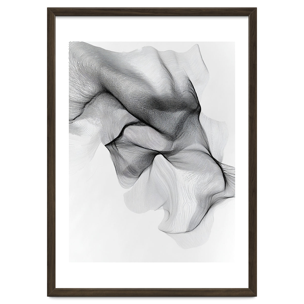 Abstract Black And White Flowing Lines Forming Organic Shapes And Forms