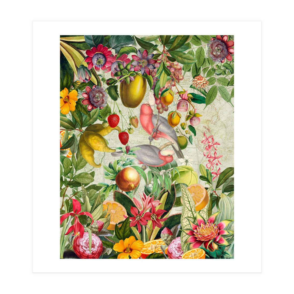 Pink Cockatoo vintage jungle  (Print Only)