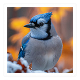 Blue Jay Bird In Winter Snowfall And Leaves (Print Only) thumbnail