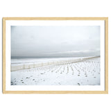 Winter grass in snow beach thumbnail