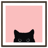 Black cat thumbnail