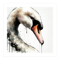 Watercolor Swan Portrait (Print Only)
