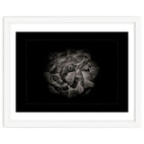 Backyard Flowers In Black And White No 81 with Border thumbnail