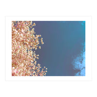 Leaves And Sky (Print Only)