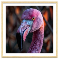 Close Up Of A Pink Flamingo Bird Face