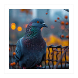 Pigeon With Water Droplets  (Print Only) thumbnail