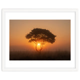 Tree at sunrise thumbnail