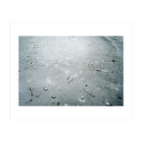 Frozen ice pond (Print Only) thumbnail