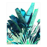Aesthetic Dimensionality (Print Only) thumbnail