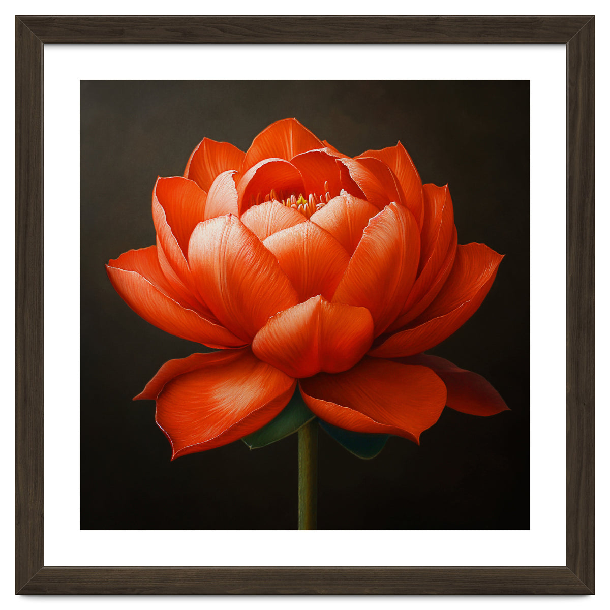 Double Lotus | Scarlet Solace