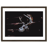 Deer Skull thumbnail