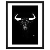 Toro thumbnail