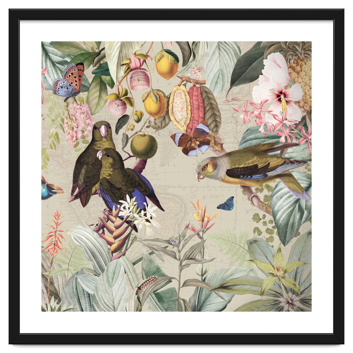 Colorful Parrots And Butterflies In Flower And Fruit Tropical Jungle