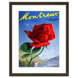 Red Rose on Montreux, Switzerland thumbnail
