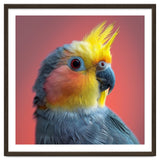 Cockatiel Parrot Head Close Up Portrait thumbnail