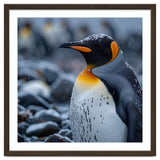 King Penguin Standing In Snowfall Outdoors thumbnail
