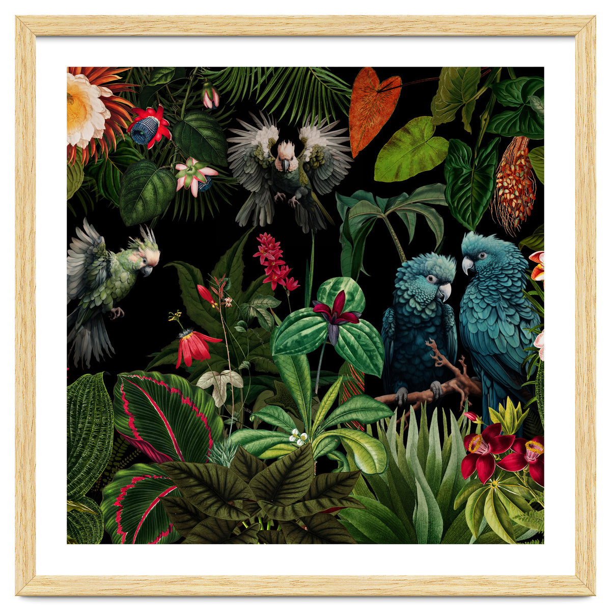 Moody Botanical Midnight Jungle Birds